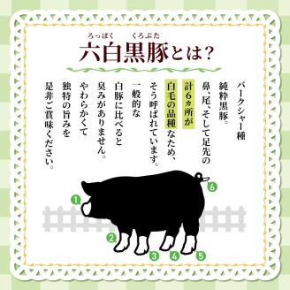 和水 黒いダイヤモンド「六白黒豚」ハンバーグ 5個 | 熊本県 熊本 くまもと 和水町 なごみまち なごみ 豚肉 黒豚 ハンバーグ 冷凍 惣菜