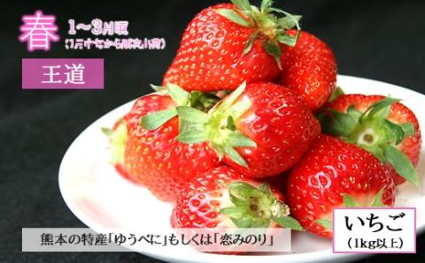 【定期便４回】春夏秋冬！旬の人気フルーツ 熊本県なごみ町 | 熊本県 熊本 くまもと 和水町 なごみ フルーツ 果物 いちご メロン スイカ シャインマスカット マスカット 巨峰 ぶどう 葡萄 みかん 蜜柑 ミカン 柑橘 定期便 定期 4回 3か月毎