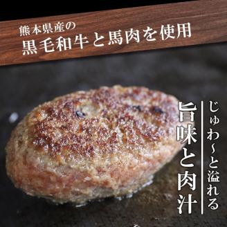 こだわり手作りハンバーグ 150g×7個 計1050g 和風ソース付き | 熊本県 熊本 くまもと 和水町 なごみ 馬肉 牛肉 くまもと黒毛和牛 黒毛和牛 150g 7個 小分け