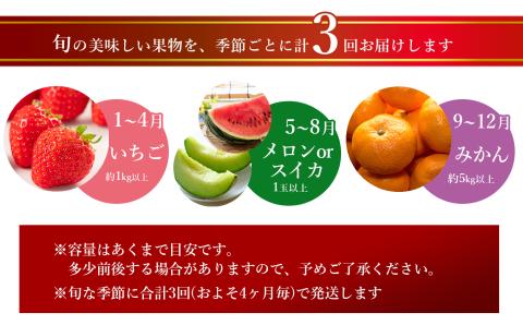 【定期便3回】季節の人気フルーツ 熊本県なごみ町 | 熊本県 熊本 くまもと 和水町 なごみ フルーツ 果物 いちご メロン スイカ みかん 蜜柑 ミカン 柑橘 定期便 定期 3回 4か月毎