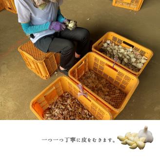 九州産おろしにんにく 1kg | 熊本県 熊本 くまもと 和水町 なごみまち なごみ にんにく ニンニク 大蒜 冷蔵 おろし 九州産