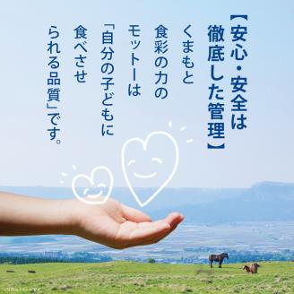 国内肥育 馬刺し 大トロ 300g 馬刺し?油・生姜付き 熊本発送 | 熊本県 熊本 くまもと 和水町 なごみまち なごみ 馬刺し 馬肉 大トロ 冷凍 300g