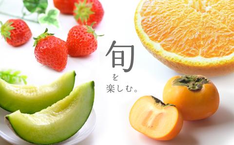 【定期便3回】季節の人気フルーツ 熊本県なごみ町 | 熊本県 熊本 くまもと 和水町 なごみ フルーツ 果物 いちご メロン スイカ みかん 蜜柑 ミカン 柑橘 定期便 定期 3回 4か月毎