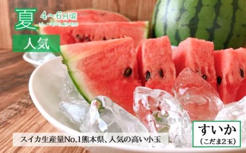 【定期便４回】春夏秋冬！旬の人気フルーツ 熊本県なごみ町 | 熊本県 熊本 くまもと 和水町 なごみ フルーツ 果物 いちご メロン スイカ シャインマスカット マスカット 巨峰 ぶどう 葡萄 みかん 蜜柑 ミカン 柑橘 定期便 定期 4回 3か月毎