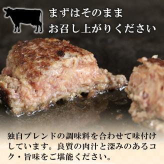 こだわり手作りハンバーグ 150g×7個 計1050g 和風ソース付き | 熊本県 熊本 くまもと 和水町 なごみ 馬肉 牛肉 くまもと黒毛和牛 黒毛和牛 150g 7個 小分け