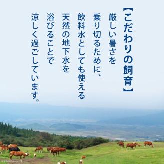 国産 熊本発送 あか牛 切り落とし 1.0kg | 熊本県 熊本 くまもと 和水町 なごみまち なごみ 牛肉 肉 あか牛 赤牛 肥後 冷凍 切り落とし 1000g
