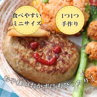 こだわり手作り生ハンバーグ 100g×20個 | 熊本県 熊本 くまもと 和水町 なごみ 馬肉 牛肉 くまもと黒毛和牛 黒毛和牛 100g 20個 小分け