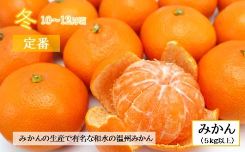 【定期便４回】春夏秋冬！旬の人気フルーツ 熊本県なごみ町 | 熊本県 熊本 くまもと 和水町 なごみ フルーツ 果物 いちご メロン スイカ シャインマスカット マスカット 巨峰 ぶどう 葡萄 みかん 蜜柑 ミカン 柑橘 定期便 定期 4回 3か月毎