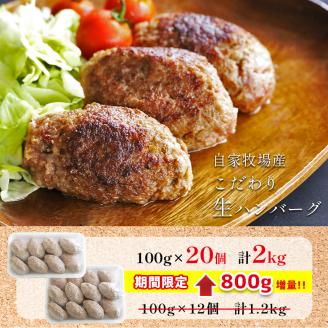 こだわり手作り生ハンバーグ 100g×20個 | 熊本県 熊本 くまもと 和水町 なごみ 馬肉 牛肉 くまもと黒毛和牛 黒毛和牛 100g 20個 小分け