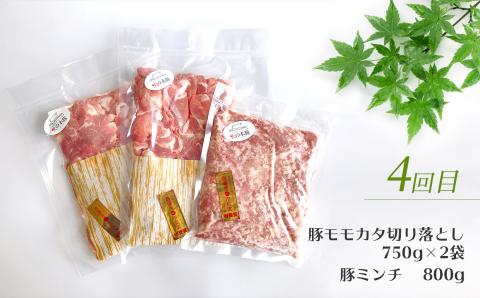 【定期4回発送】 火の本豚 一頭まるごと便 合計7700g 豚肉 熊本 グランプリ受賞 | 熊本県 熊本 くまもと 和水町 なごみ 豚肉 火の本豚 地域ブランド 肩ロース ロース スライス 豚バラ バラ ミンチ 豚ミンチ 切り落とし 定期便 4回