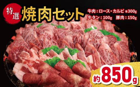 特選焼肉セット(牛肉:ロース 300g、牛肉:カルビ:300g、牛タン:100g 豚肉:150g)| 熊本県 熊本 くまもと 和水町 なごみまち なごみ 牛肉 肉 牛タン カルビ 豚肉 焼肉 セット 特選 食べ比べ