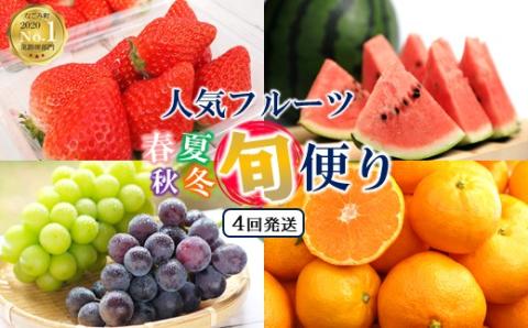【定期便４回】春夏秋冬！旬の人気フルーツ 熊本県なごみ町 | 熊本県 熊本 くまもと 和水町 なごみ フルーツ 果物 いちご メロン スイカ シャインマスカット マスカット 巨峰 ぶどう 葡萄 みかん 蜜柑 ミカン 柑橘 定期便 定期 4回 3か月毎