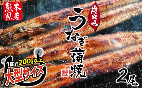 うなぎ 数量限定 国産 特大うなぎ 2尾  | 熊本県 熊本 くまもと 和水町 なごみまち なごみ 鰻 ウナギ 加工品 加工済 数量限定 冷凍