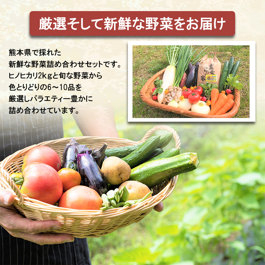 【定期便12回】毎月お届け!旬のお任せセット お米(ヒノヒカリ) 2kg・ 旬の新鮮お野菜(6～10品目)セット (詰め合わせ) | 熊本県 和水町 くまもと なごみまち なごみ ヒノヒカリ ひのひかり米 単一原料米 2kg 野菜 旬 旬の野菜 産地直送 詰め合わせ セット 定期 定期便 12回