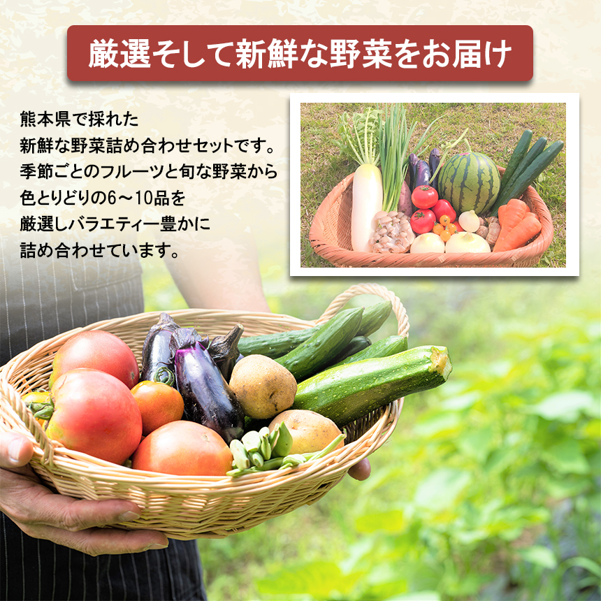 旬の味覚セット 季節のフルーツ・熊本の新鮮お野菜(6～10品目) (詰め合わせ)) | 熊本県 和水町 くまもと なごみまち なごみ 野菜 果物 季節の果物 フルーツ 詰め合わせ セット