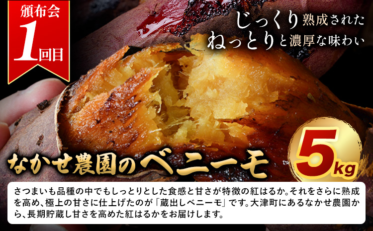 さつまいも 満喫頒布会 全3回 定期便 なかせ農園のベニーモ 干し芋 芋けんぴ 計6.5kg《お申込の翌月より発送開始》熊本県 大津町 さつまいも サツマイモ 紅はるか ほしいも 焼き芋 やきいも イモケンピ 中瀬農園 熊本県産 国産 頒布会 3ヶ月定期便---oz_ooztei_25_20500_mo3num1---