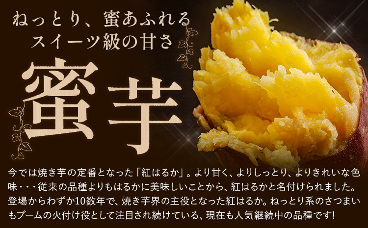 熊本県大津町産 中無田農園の紅はるか 約5kg (大中小サイズ不揃い) 熊本県大津町 《12月上旬-1月中旬頃出荷予定》 さつまいも 芋 スイートポテト 干し芋にも 名産地 特産品 秋 旬---fn_nkmtben_ae121_8000_5kg---