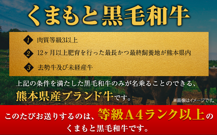 くまもと黒毛和牛 サーロイン リブロース ローススライス 600g 牛肉  《30日以内に出荷予定(土日祝除く)》---oz_fkkrgsrr_30d_r7_18000_600g---