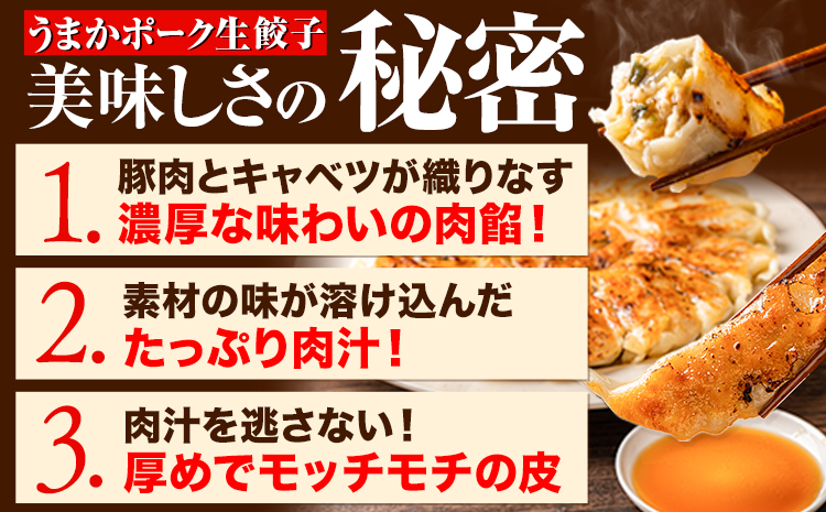 餃子 うまかポーク生餃子 150個（30個）《30日以内に出荷予定(土日祝除く)》餃子  皮モチモチ---oz_fgz_30d_r7_15000_150p---