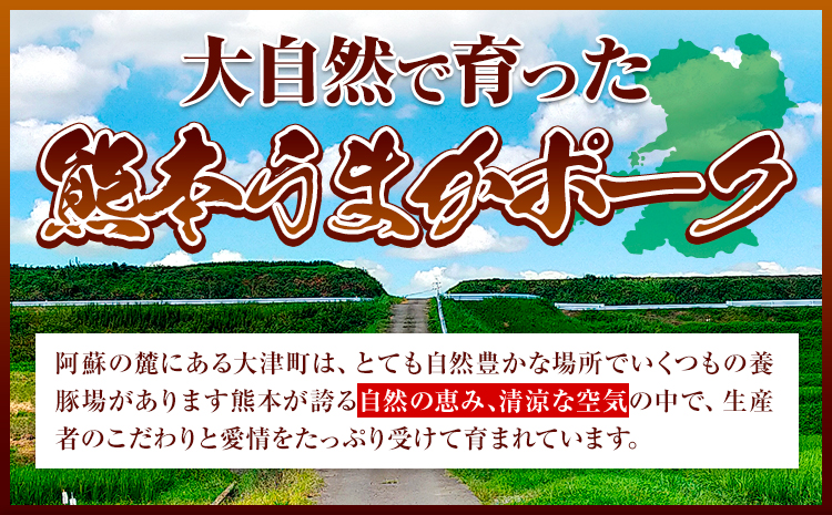 豚肉 小分け しゃぶしゃぶ 豚バラ 豚ロース 熊本 うまか ポーク スライス トレー 3kg《30日以内に出荷予定(土日祝除く)》 お楽しみセット 豚しゃぶ 豚バラ肉 うまかポーク 3種 豚バラエティー セット 小分け スライス---oz_fumpsya_r7_20000_t3kg_30d---