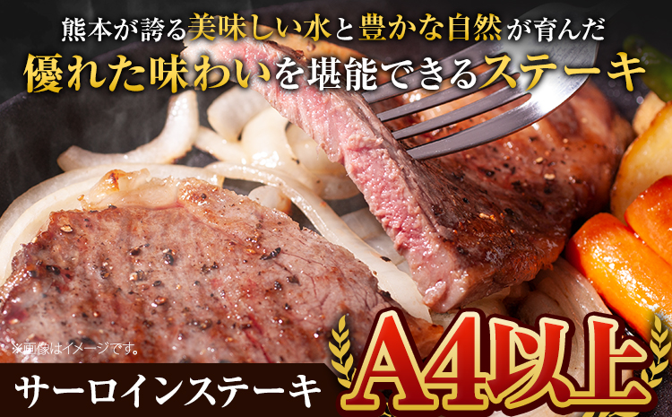 くまもと黒毛和牛 サーロインステーキ 500g ( 250g x 2枚 ) 牛肉 冷凍 《30日以内に出荷予定(土日祝除く)》 くまもと黒毛和牛 黒毛和牛 冷凍庫 個別 取分け 小分け 個包装 ステーキ肉 にも サーロインステーキ---oz_fsaro_30d_r7_16000_500g---