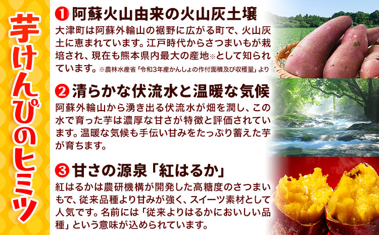カリッカリ 紅はるかの芋けんぴ 250g 1袋250g 熊本県大津町産 無添加《30日以内に出荷予定(土日祝を除く)》薩摩芋 さつまいも サツマイモ イモケンピ 保存料・着色料 不使用 小分け---oz_imkp_30d_r7_3500_250g---