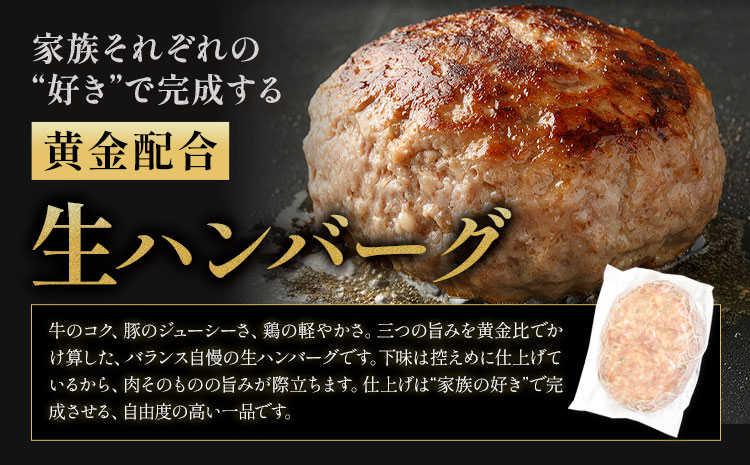 ハンバーグ 鉄板焼き 肉肉ハンバーグ 生ハンバーグ 食べ比べ 20個 《1月出荷予定》熊本県 国産 豚肉 ハンバーグ 専門店監修 小分け 肉 ---oz_fhr_ac1_r7_10000_20i_n---