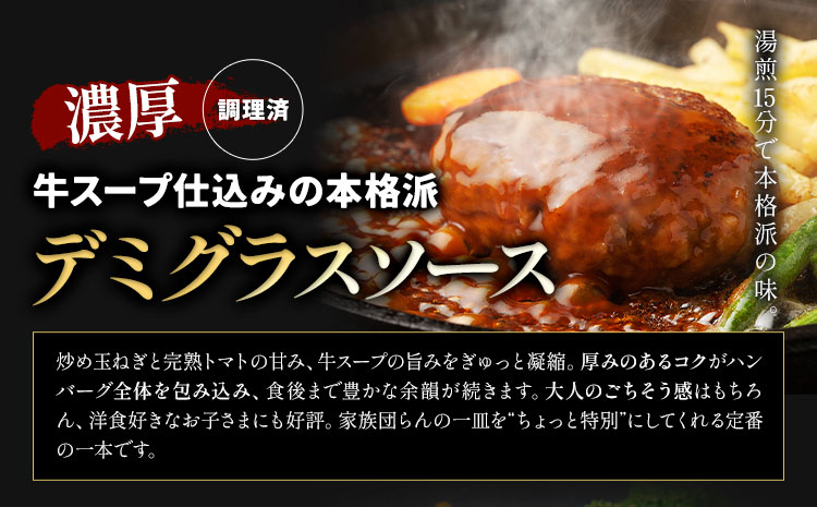 ハンバーグ 鉄板焼き 肉肉ハンバーグ  デミグラスソース ジャポネソース 食べ比べ 20個 《1月出荷予定》熊本県 国産 牛肉 豚肉 鶏肉 ハンバーグ 専門店監修 小分け デミ ジャポネ 肉 ---oz_fhr_ac1_r7_11000_20i_t---