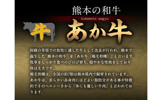 あか牛 赤身ステーキ用 1kg (200g×5) 幸路《60日以内に出荷予定(土日祝除く)》 あか牛  赤牛 赤身 ---so_fhakakas5_60d_r7_33500_1kg---