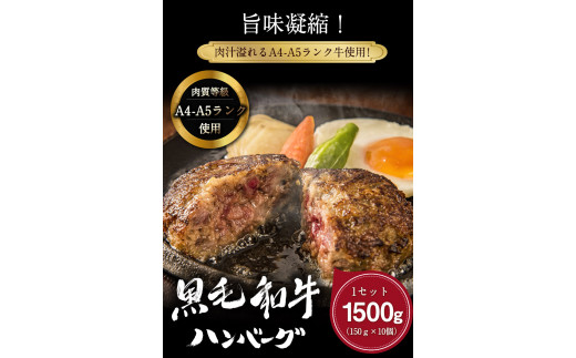 黒毛和牛ハンバーグ150g×10個    トップルーフ《60日以内に出荷予定(土日祝除く)》---so_ftopkrham_60d_r7_27000_1500g---