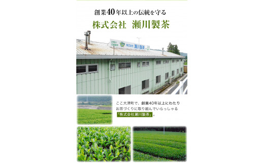 色が変わる日本茶 サンルージュ 5袋セット (1袋10バッグ入り) ティーバッグ 《60日以内に出荷予定(土日祝除く)》瀬川製茶---so_sgwsun_60d_r7_12000_5bags---