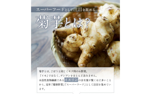 セット ヨーグルト用【プレーン&ビーツ】《30日以内に出荷予定(土日祝除く)》 大津町   阿蘇自然の恵み総本舗---so_shpow_30d_r7_13000_3p_pb---