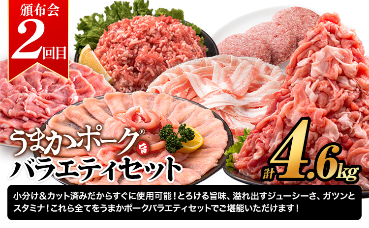 豚肉 うまかポーク 満喫セット 全3回 定期便 うまかポーク 切り落とし ミンチ バラエティセット 生餃子《お申込み月の翌月から発送開始》熊本県 大津町 豚肉 ミンチ 干し芋 ハンバーグ 肉 頒布会 全3回---oz_fumaptei_25_45500_mo3num1---