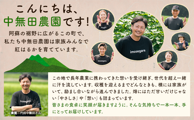 熊本県大津町産 中無田農園の紅はるか 約5kg (大中小サイズ不揃い) 熊本県大津町 《12月上旬-1月中旬頃出荷予定》 さつまいも 芋 スイートポテト 干し芋にも 名産地 特産品 秋 旬---fn_nkmtben_ae121_8000_5kg---