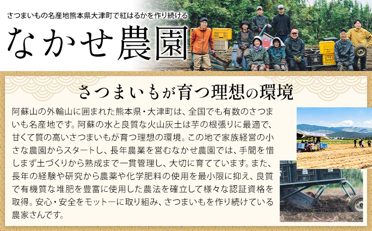 芋 熊本 県 大津 町産 なかせ 農園の蔵出しベニーモ 選べる 約 5kg (大中小サイズ不揃い)《1-5日以内に出荷予定(土日祝除く)》 さつま いも さつま芋 芋 紅 はるか スイート ポテト 干し芋にも 特産品 SDGs 中瀬農園---fn_nksimo_s_25_8000_5kg---