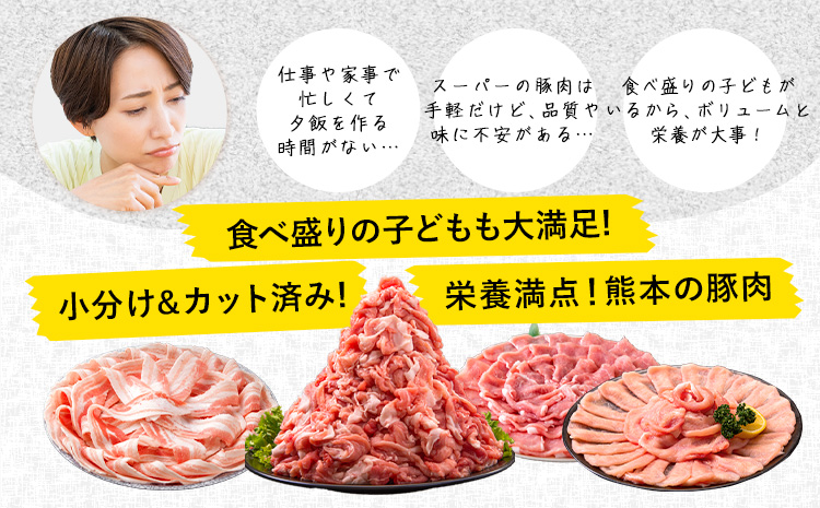 豚肉 うまか ポーク バラエティ セット 4.6kg 豚肉 しゃぶしゃぶ 切り落とし 豚ロース バラ 豚バラ スライス 以上 定期便 真空 不揃い 数量限定 簡易包装 冷凍配送 小分け 《1月出荷》 豚肉---oz_fbrets_ac1_26_17000_4600g--- - 2セット