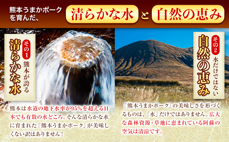 豚肉 小分け しゃぶしゃぶ 豚バラ 豚ロース 熊本 うまか ポーク スライス フィルムタイプ 2.4kg《30日以内に出荷予定(土日祝除く)》 お楽しみセット 豚しゃぶ 豚バラ肉 うまかポーク 3種 豚バラエティー セット 小分け スライス---oz_fumpsya_r7_20000_f2400g_30d---