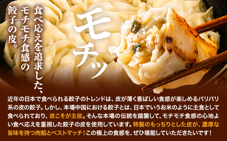 餃子 うまかポーク生餃子 30個 【3ヶ月定期便】タレ付き 大津町限定返礼品 冷凍餃子 ギョウザ《お申込み月の翌月から発送開始》大津町産豚肉使用 九州産キャベツ使用（大津町産含む）皮モチモチ 肉汁溢れる ぎょうざ （30個×1袋）---oz_fgztei_25_13500_30p_mo3---