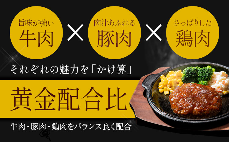 ハンバーグ 鉄板焼き 肉肉ハンバーグ ジャポネソース  20個 《1月出荷予定》熊本県 国産 牛肉 豚肉 鶏肉 ハンバーグ 専門店監修 小分け ジャポネ 肉 ---oz_fhr_ac1_r7_11000_20i_j---