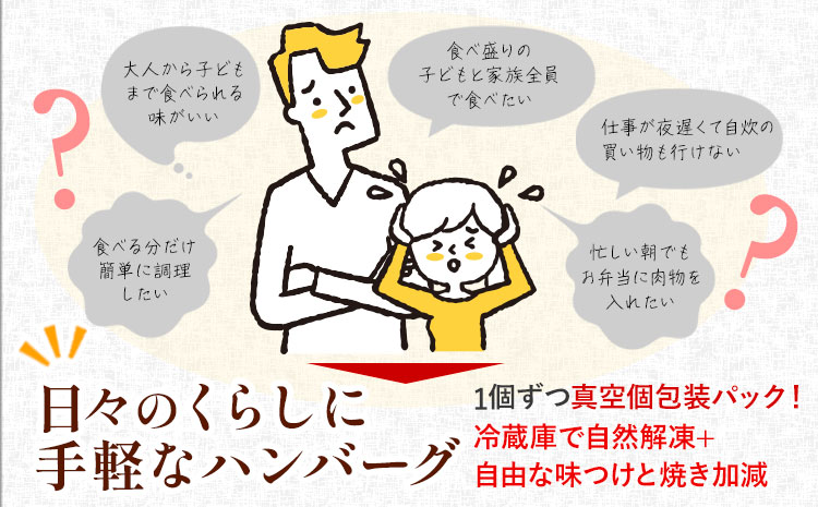 ハンバーグ 鉄板焼き 肉肉ハンバーグ 生ハンバーグ 食べ比べ 20個 《1月出荷予定》熊本県 国産 豚肉 ハンバーグ 専門店監修 小分け 肉 ---oz_fhr_ac1_r7_10000_20i_n---