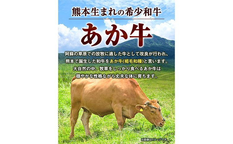 あか牛 切り落とし 1kg 五右衛門フーズ《60日以内に出荷予定(土日祝除く)》 熊本県 大津町 牛肉 肉 国産 熊本県産 ブランド牛 絶品 贅沢 高級 あか牛---so_fgoeakukr_60d_r7_18500_1kg---