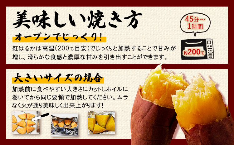 訳あり紅はるか サツマイモ 1.5kg 《2026年1月上旬-5月末頃出荷予定》紅はるか さつまいも 熊本県 大津町 イモ 芋 さつまいも 訳あり---oz_jsmih_26_af15_3500_1500g---