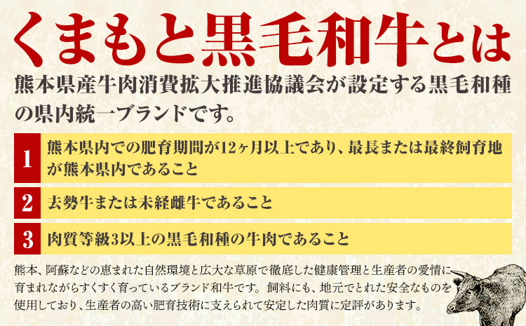 【A4～A5】くまもと 黒毛和牛 サーロイン ステーキ 1kg 《30日以内に出荷予定(土日祝除く)》熊本県 大津町 黒毛和牛 肉 お肉 和牛 牛 牛肉 A5 A4 小分け MEAT PLUS---so_fmpkkss_30d_r7_30000_1kg---