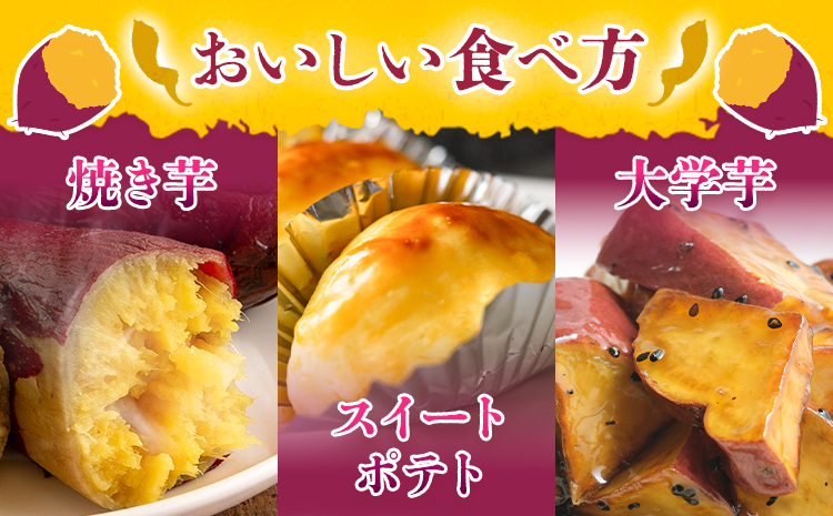 さつまいも 熊本県産 紅はるか 5kg 日本フルーツ株式会社《11月下旬-6月上旬頃出荷》熊本県 大津町 さつまいも 薩摩芋 からいも 紅はるか デザート 料理 おやつ 蜜芋 野菜 芋 いも---oz_nfbh_cf116_25_9000_5kg---