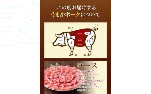 豚肉  しゃぶ しゃぶ3種 うまか ポーク スライス 1.2kg 豚 ロース バラ フィルム《30日以内に出荷予定(土日祝除く)》---oz_fumpsya_r7_12000_f1200g_30d---