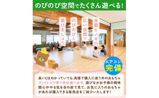 施設利用券 3000円分 (500円チケット×6枚) こどもとおもちゃのフラットソース《30日以内に出荷予定(土日祝除く)》---so_oflatriyo_30d_r7_12500_3000en---