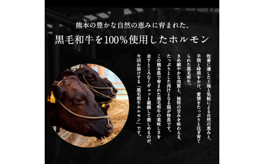 黒毛和牛ホルモン400g(200g×2袋)  トップルーフ《60日以内に出荷予定(土日祝除く)》---so_ftopkhr_60d_r7_14500_400g---