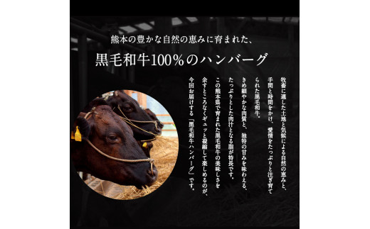 黒毛和牛ハンバーグ150g×10個    トップルーフ《60日以内に出荷予定(土日祝除く)》---so_ftopkrham_60d_r7_27000_1500g---
