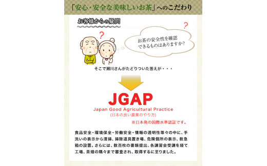 色が変わる日本茶 サンルージュ 5袋セット (1袋10バッグ入り) ティーバッグ 《60日以内に出荷予定(土日祝除く)》瀬川製茶---so_sgwsun_60d_r7_12000_5bags---