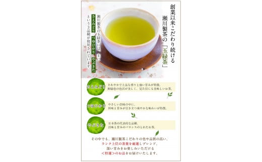 ＜特撰＞玉緑茶(たまりょくちゃ)「一番茶」 100g×8本  大津町産  瀬川製茶《60日以内に出荷予定(土日祝除く)》---so_sgwtokutam_60d_r7_32000_800g---